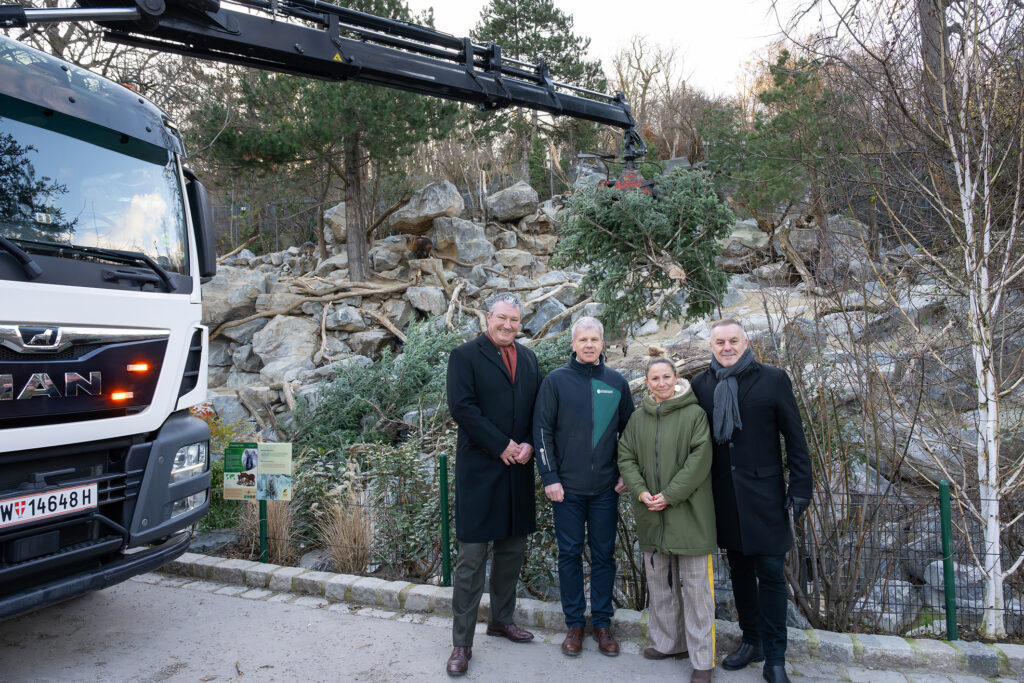 Tanne aus dem Salzkammergut an den Tiergarten Schönbrunn übergeben.